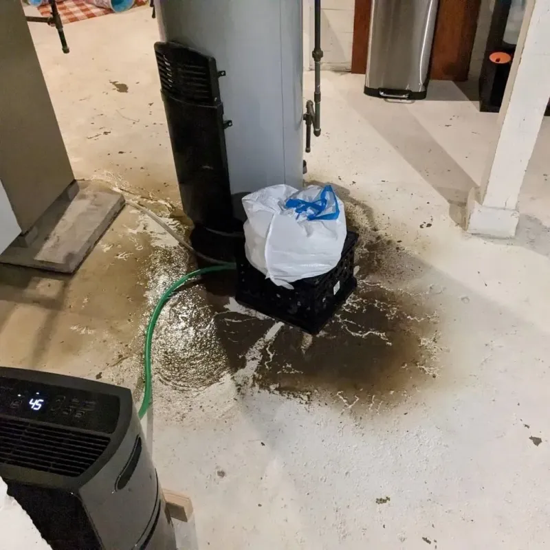 Sewage Backup Cleanup Service in Dooly County, GA